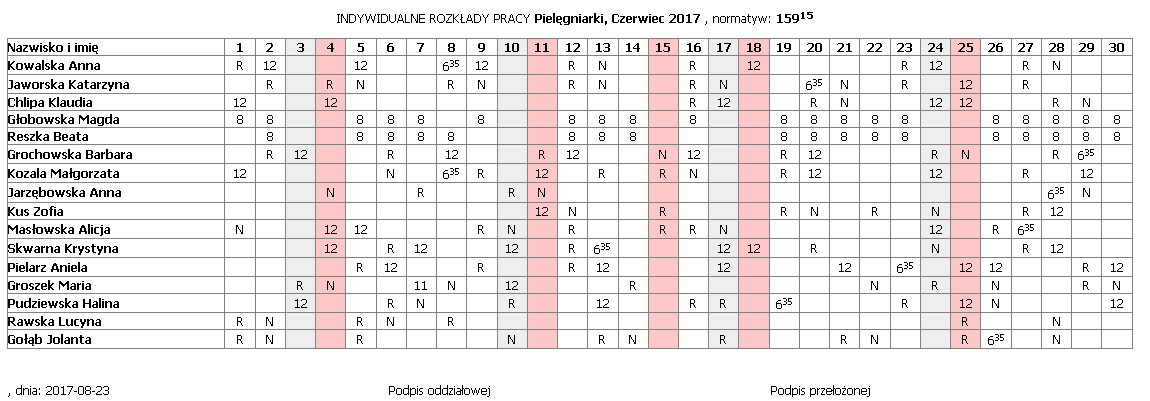 Przykład szablonu Indywidualny rozkład pracy